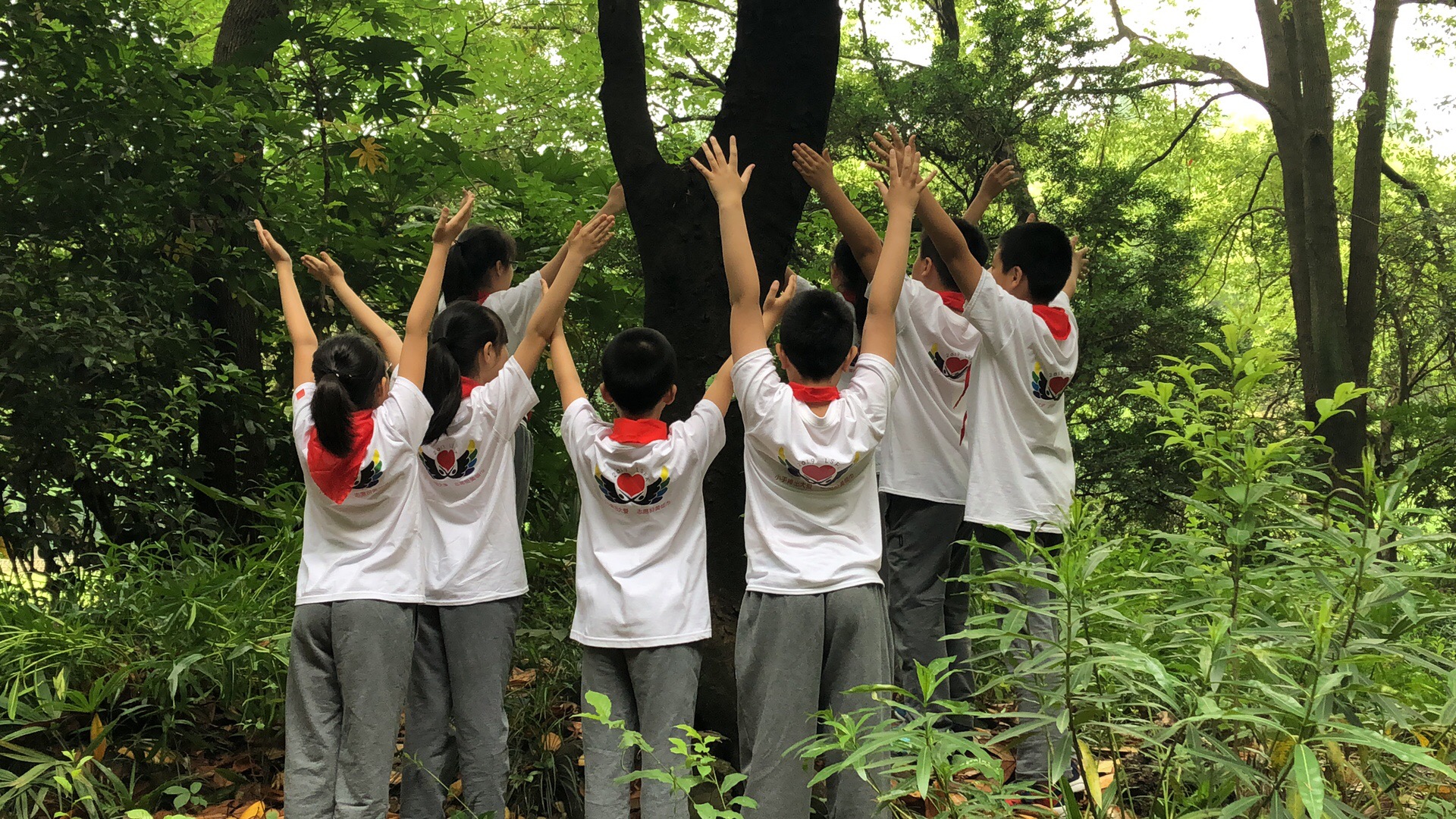 微信图片_20190531100420.jpg